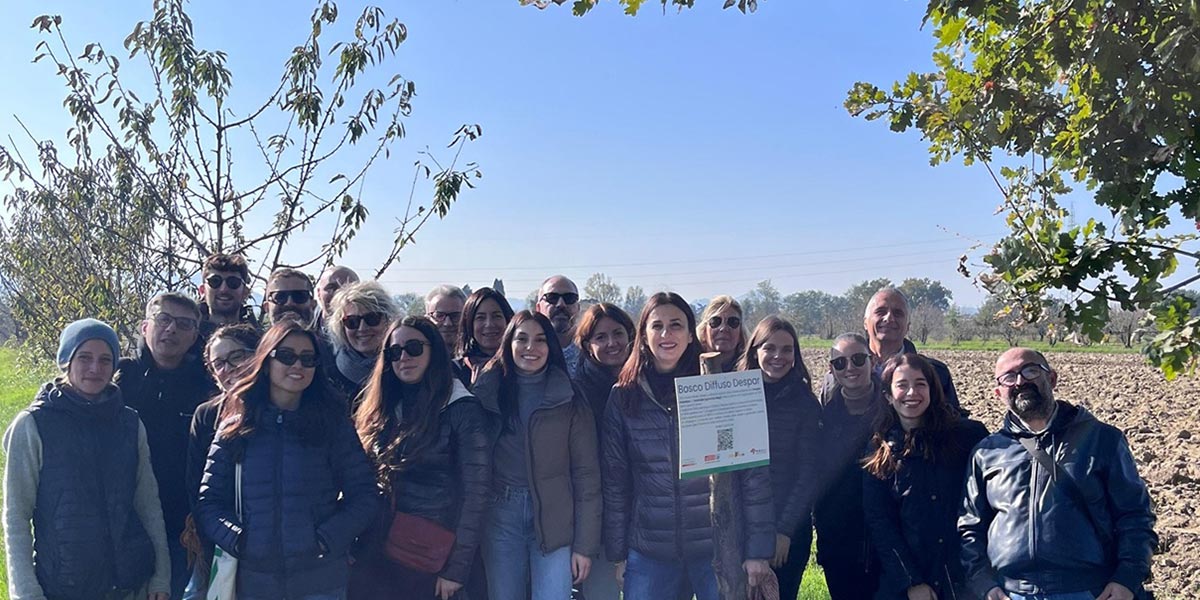 Despar Italia, prosegue il progetto “Bosco Diffuso Despar”